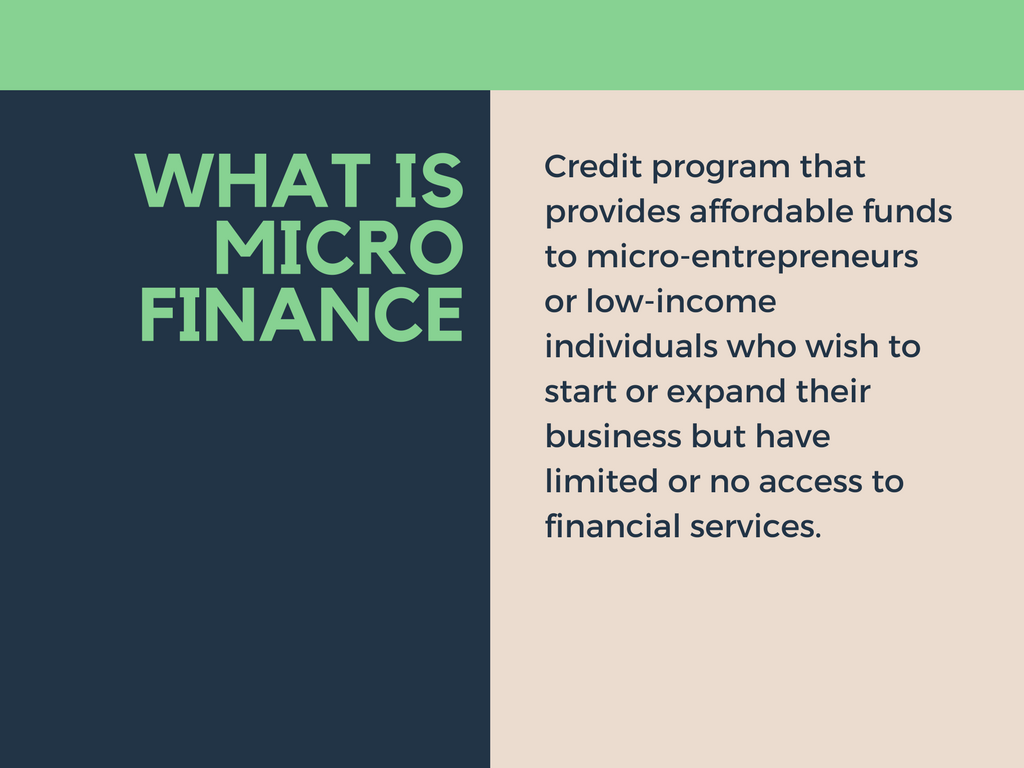 Microfinance Loan